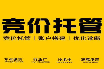 SEM服务在本地化营销中的应用案例